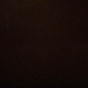 Meet your Posher, Kodie